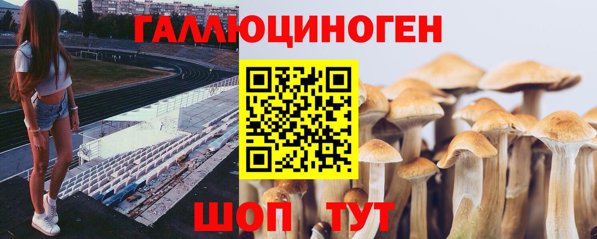 Галлюциногенные грибы ЛСД Мирный